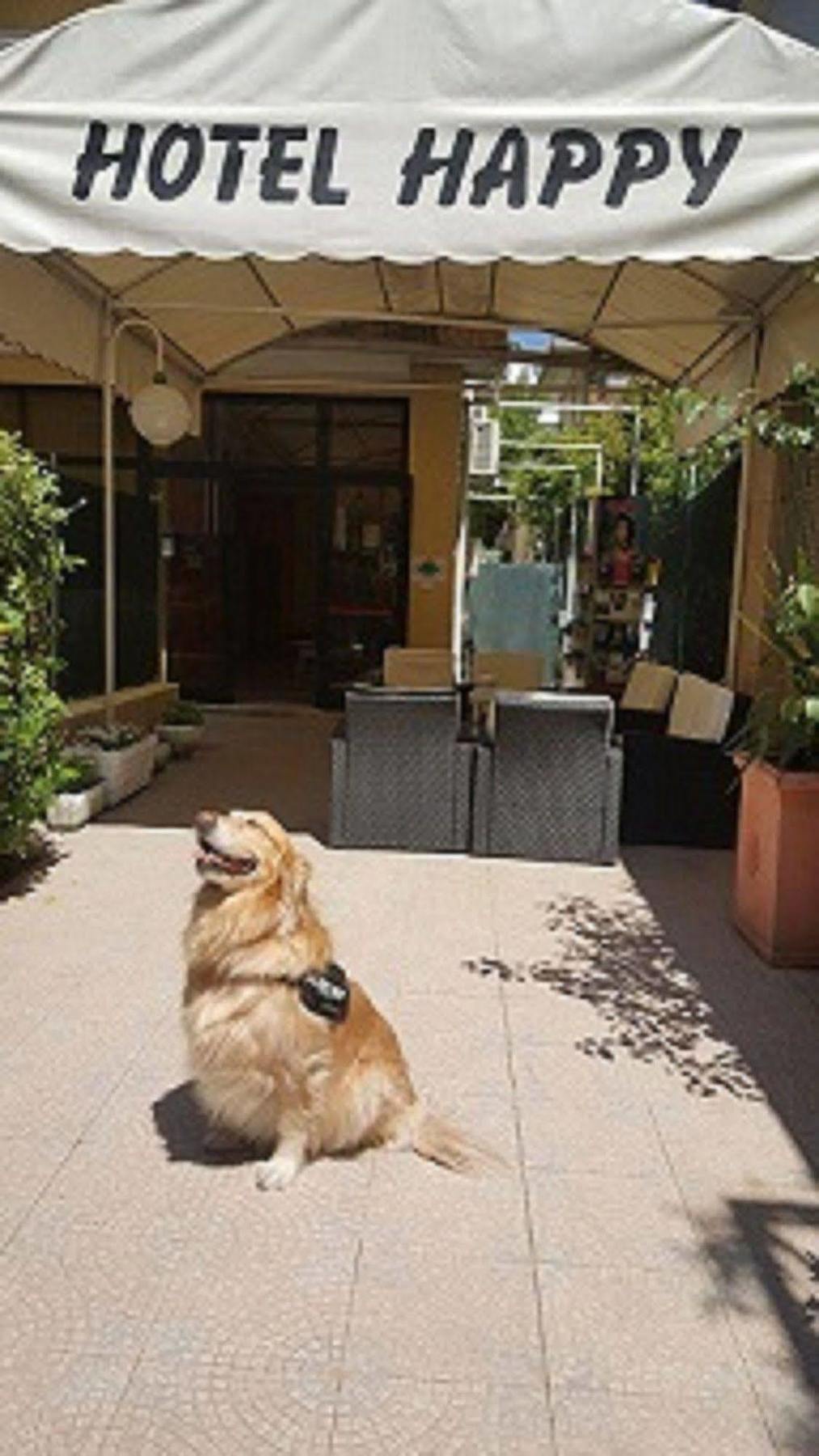 Hotel New Happy Rimini Exterior photo